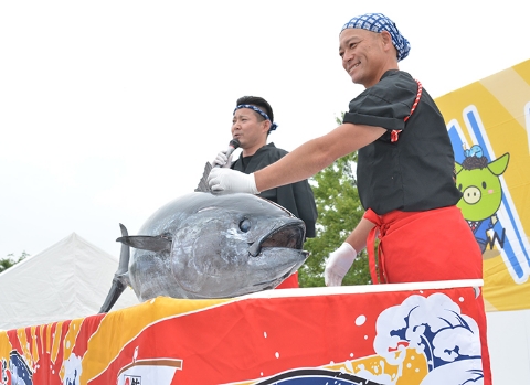 早い者勝ち！
解体したてのマグロを無料配布！