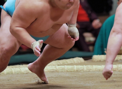 立浪部屋の力士に挑戦！ちびっこ相撲体験！